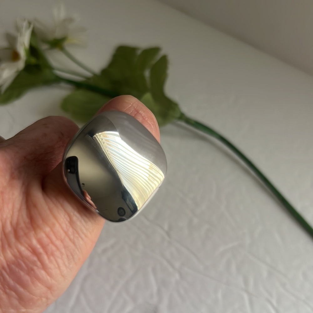 Stainless Steel Ring 30$